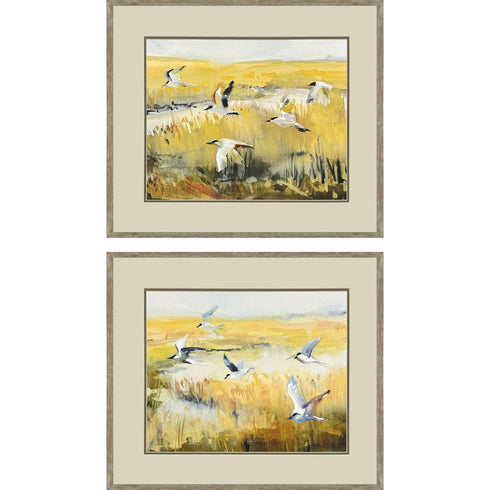 Set Of Two Terns on Marsh Silver Framed Wall Art