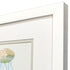 Set Of Two Sea Creatures II White Framed Wall Art