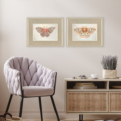 Set Of Two Forest Moth Gold Framed Wall Art