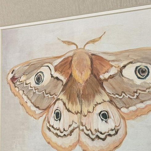 Set Of Two Forest Moth Gold Framed Wall Art