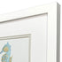 Set Of Two Sea Creatures I White Framed Wall Art