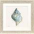 Coastal Bliss IV Distressed White Framed Wall Art