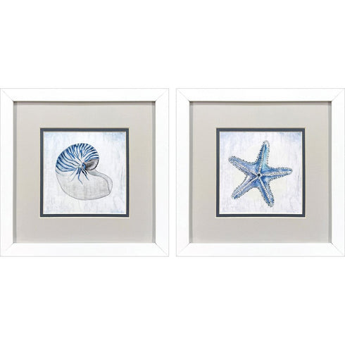 Set Of Two Azure Shell White Framed Wall Art