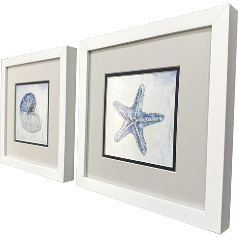 Set Of Two Azure Shell White Framed Wall Art
