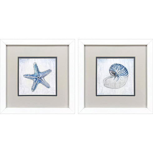Set Of Two Azure Shell White Framed Wall Art