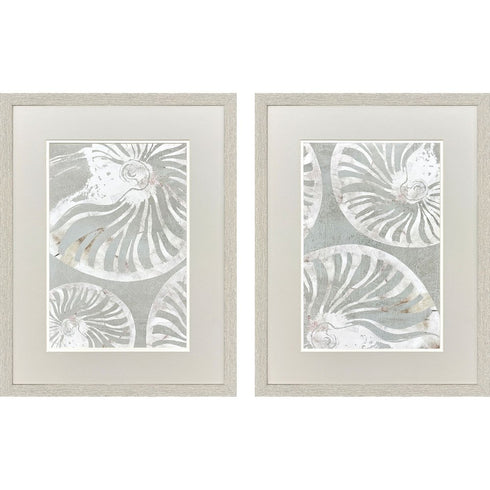 Set Of Two Nautilus Shell Distressed White Framed Wall Art