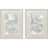 Set Of Two Nautilus Shell Distressed White Framed Wall Art