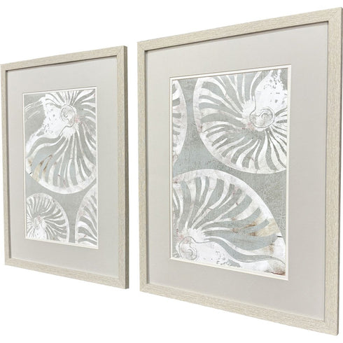 Set Of Two Nautilus Shell Distressed White Framed Wall Art