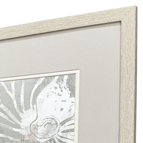 Set Of Two Nautilus Shell Distressed White Framed Wall Art