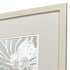 Set Of Two Nautilus Shell Distressed White Framed Wall Art