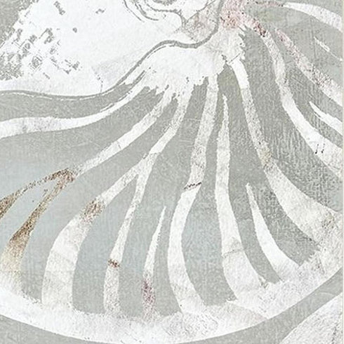 Set Of Two Nautilus Shell Distressed White Framed Wall Art