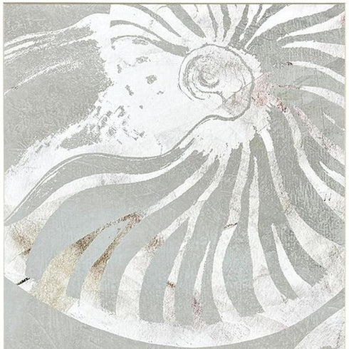 Set Of Two Nautilus Shell Distressed White Framed Wall Art