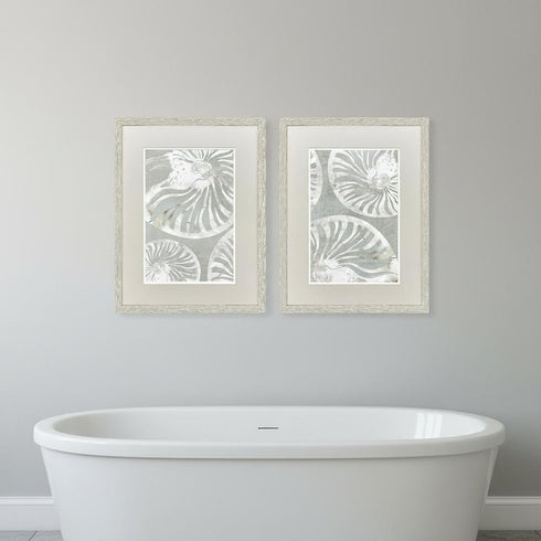 Set Of Two Nautilus Shell Distressed White Framed Wall Art