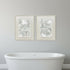 Set Of Two Nautilus Shell Distressed White Framed Wall Art