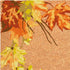 24" X 36" Brown And Natural Fall Leaves Outdoor Coir Door Mat