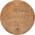 8' X 10' Copper And Brown Oriental Washable Area Rug With UV Protection