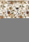 8' X 10' Cream Beige And Green Floral Area Rug