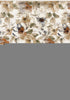 8' X 10' Cream Beige And Green Floral Area Rug