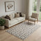 5' X 8' Brown And Ivory Geometric Washable Area Rug With UV Protection