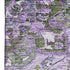 5' X 8' Olive Green Purple And Gray Floral Medallion Washable Area Rug With UV Protection