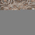 8' X 10' Terra Cotta Beige And Gray Floral Medallion Washable Area Rug With UV Protection