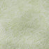 8' X 10' Artichoke Green And Ivory Floral Washable Area Rug With UV Protection