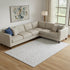 8' X 10' Silver And Gray Medallion Washable Area Rug With UV Protection