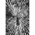 9' X 12' Black And Ivory Zebra Print Washable Area Rug With UV Protection