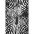 9' X 12' Black And Ivory Zebra Print Washable Area Rug With UV Protection