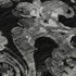 8' X 10' Black And Silver Paisley Washable Area Rug With UV Protection