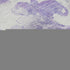 9' X 12' Lavender And Ivory Paisley Washable Area Rug With UV Protection