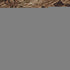 9' X 12' Rust And Copper Floral Washable Area Rug With UV Protection