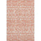 8' X 10' Coral And Beige Southwestern Washable Area Rug With UV Protection