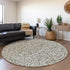 8' Taupe And Ivory Damask Washable Round Rug With UV Protection