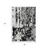 5' X 8' Black Ivory And Gray Abstract Washable Area Rug With UV Protection