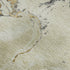 8' X 10' Ivory Beige And Gray Abstract Washable Area Rug With UV Protection