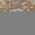9' X 12' Copper Gray And Ivory Damask Washable Area Rug With UV Protection