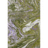 5' X 8' Olive Green Purple And Ivory Abstract Washable Area Rug With UV Protection