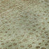 8' X 10' Artichoke Green And Copper Polka Dot Washable Area Rug With UV Protection