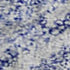 8' X 10' Sky Blue And Ivory Geometric Washable Area Rug With UV Protection