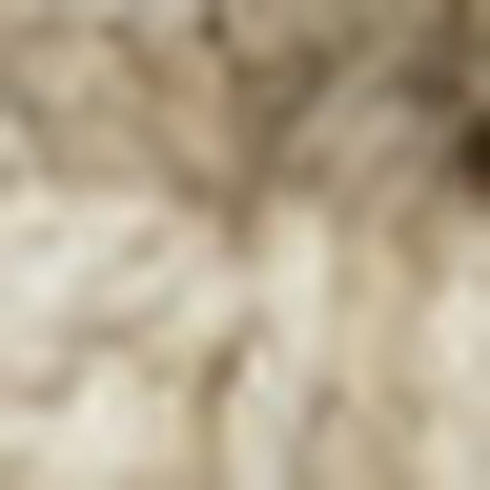 8' X 10' Ivory Jute Handmade Area Rug