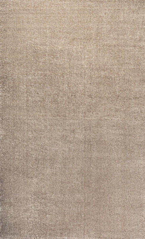 5' X 8' Beige Area Rug