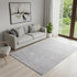 5' X 8' Light Gray Area Rug
