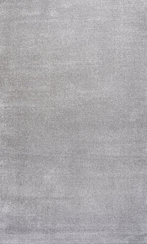 5' X 8' Light Gray Area Rug