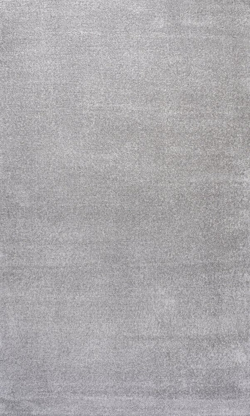 8' X 10' Light Gray Area Rug