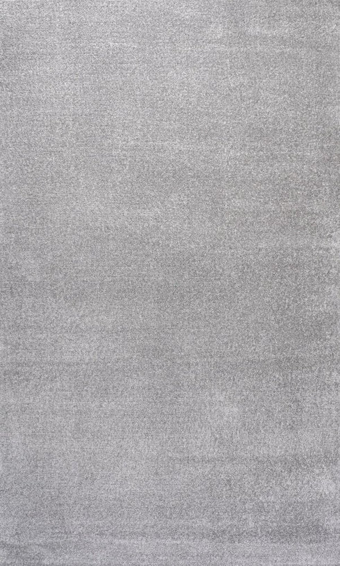 8' X 10' Light Gray Area Rug