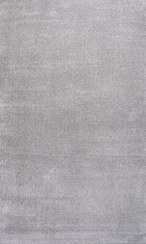 8' X 10' Light Gray Area Rug