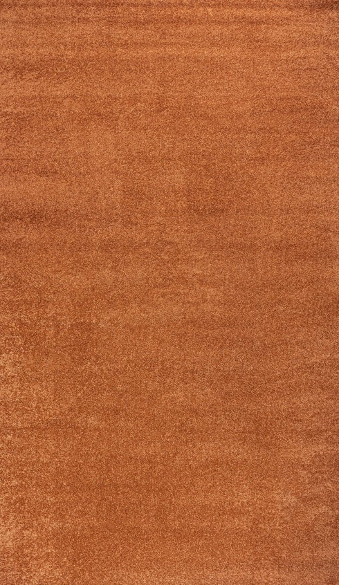 8' X 10' Orange Area Rug