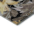 5' X 8' Black Gray And Wheat Floral Washable Area Rug With UV Protection