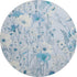 8' X 8' Sky Blue And Ivory Floral Washable Round Rug With UV Protection